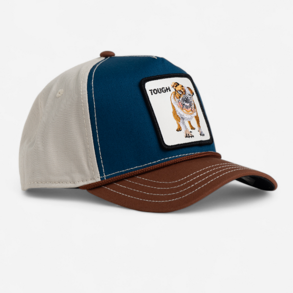 BULLY 100 CANVAS PEAK W24 - BROWN / BLUE / WHITE